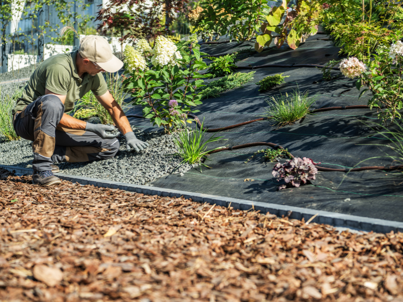 Conception de jardin par Passion Ô Jardin