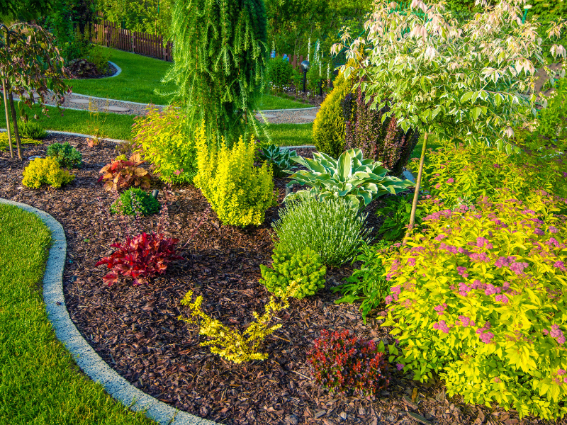 Massifs et plantations réalisés par Passion Ô Jardin